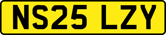 NS25LZY