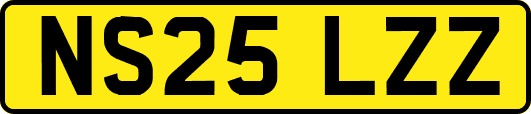 NS25LZZ