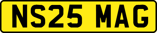 NS25MAG