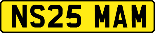 NS25MAM