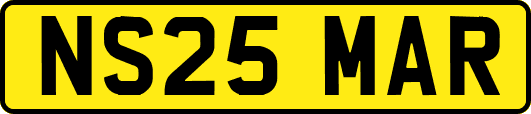 NS25MAR
