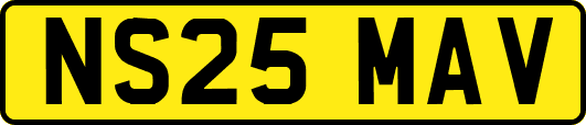 NS25MAV