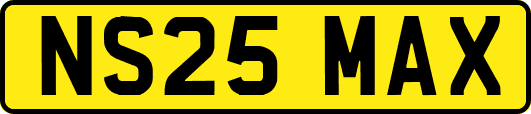 NS25MAX