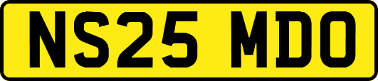 NS25MDO