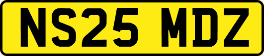 NS25MDZ