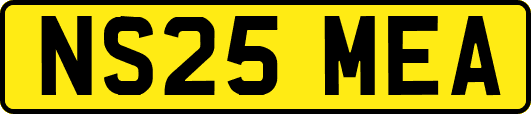 NS25MEA