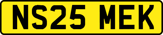 NS25MEK