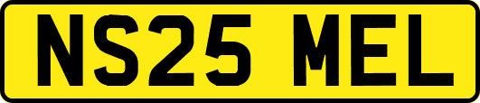 NS25MEL