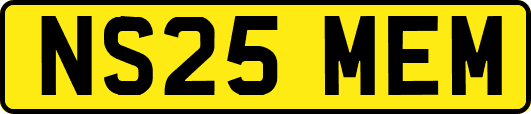 NS25MEM