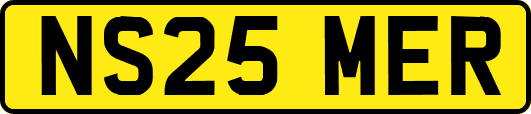 NS25MER