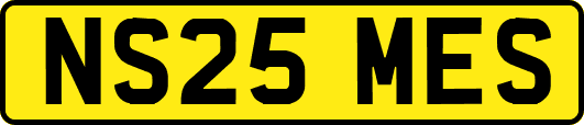 NS25MES