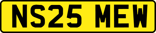NS25MEW