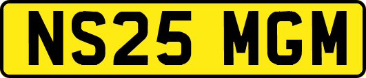 NS25MGM