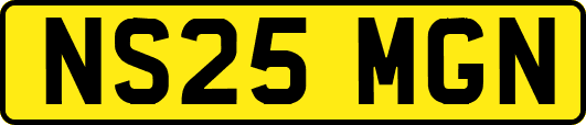 NS25MGN