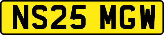 NS25MGW