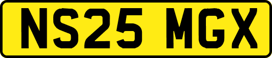 NS25MGX