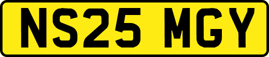 NS25MGY