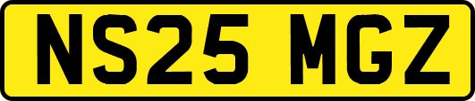 NS25MGZ