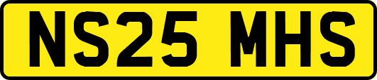 NS25MHS