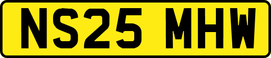 NS25MHW