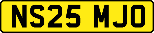 NS25MJO
