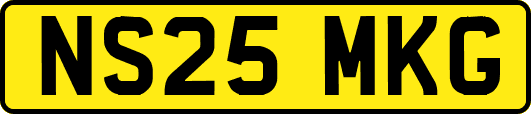 NS25MKG