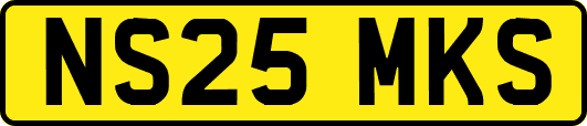 NS25MKS