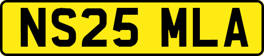 NS25MLA