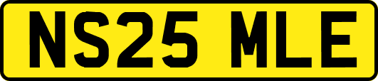 NS25MLE
