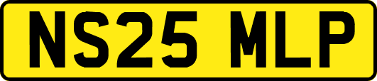 NS25MLP