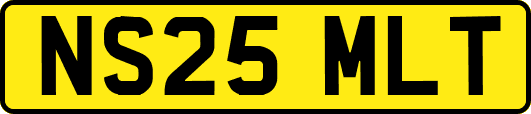 NS25MLT