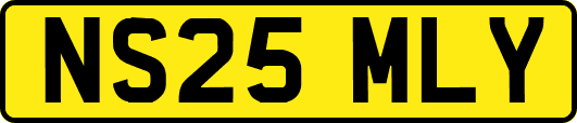 NS25MLY