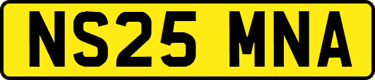 NS25MNA