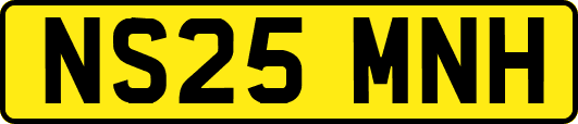 NS25MNH