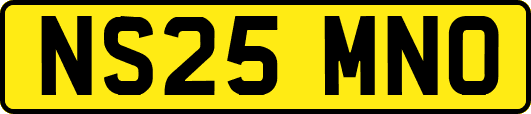 NS25MNO