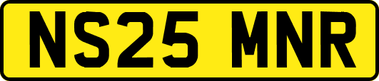 NS25MNR