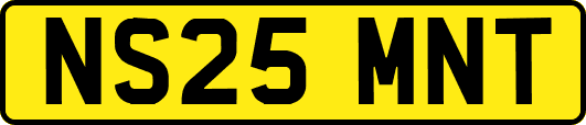 NS25MNT
