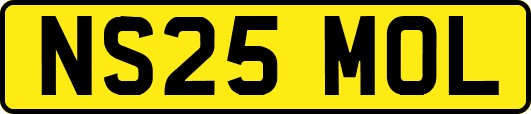 NS25MOL
