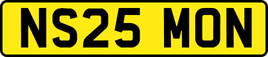 NS25MON