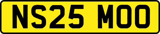 NS25MOO
