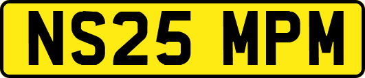 NS25MPM