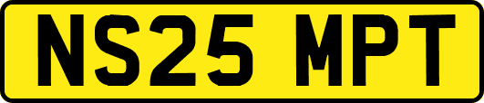 NS25MPT