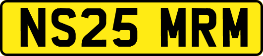 NS25MRM