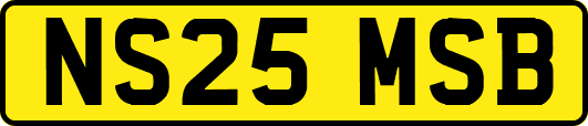 NS25MSB