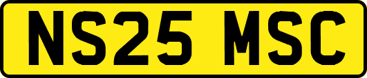 NS25MSC