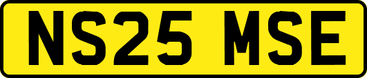 NS25MSE