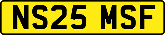 NS25MSF