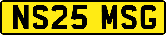 NS25MSG