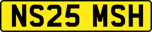 NS25MSH