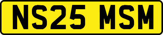 NS25MSM